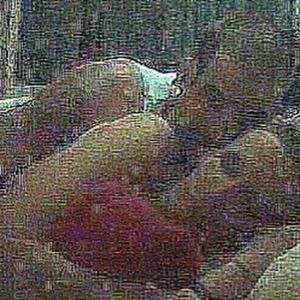 Meet your Posher, Breezy